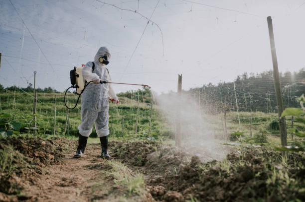 Best Pest Removal Services  in West Pelzer, SC