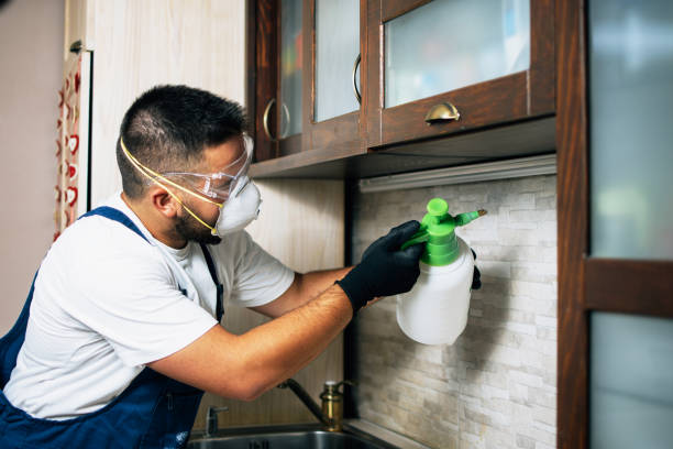 Best Best Pest Control Companies  in West Pelzer, SC