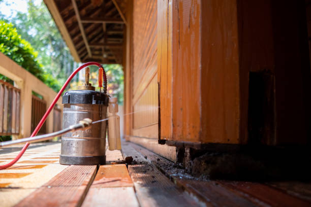 Best Wasp Removal Services  in West Pelzer, SC