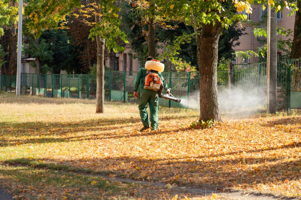 Best Pest Removal Services  in West Pelzer, SC