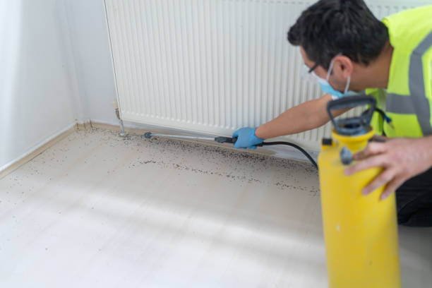 Wasp Removal Services in West Pelzer, SC