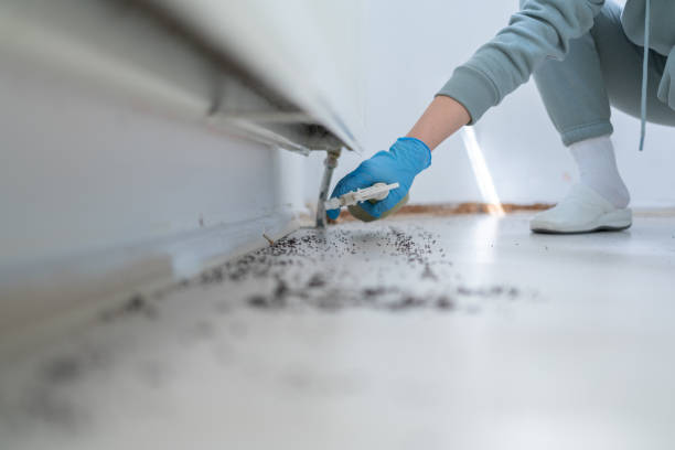 Wildlife Control Services in West Pelzer, SC