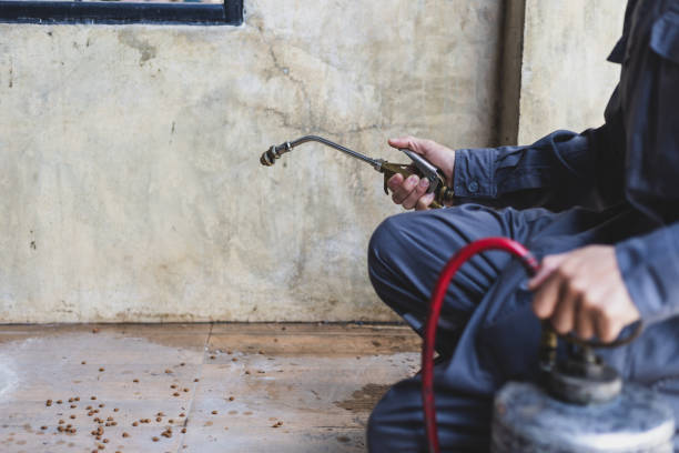 Professional Pest Control in West Pelzer, SC